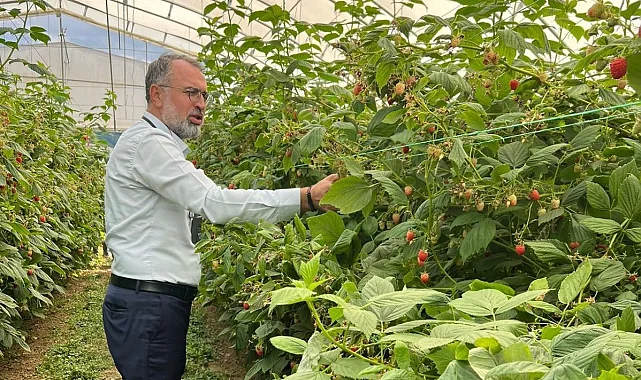 Bursa Kestel ve Gürsu'dan Sırbistan'a tarım çıkarması