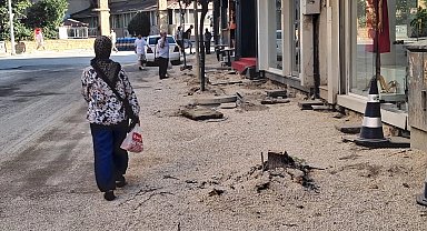 Edirne Keşan'da kaldırım için ağaç kesimine tepki!