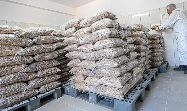İzmir Belediyesi can dostlar için mama üretiyor