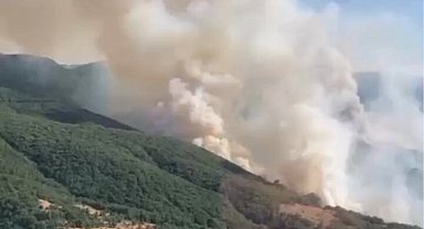 İzmir Bergama'daki yangın kontrol altında... Bilecik ve Sakarya'da müdahale sürüyor