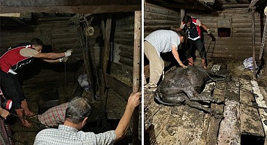 Kayabaşı köyünde ahır çöktü: Büyükbaş hayvan 2 saatlik çalışmayla kurtarıldı