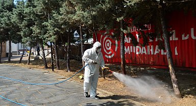 Kene ve haşerelerle mücadele için ilaçlama çalışmaları başladı