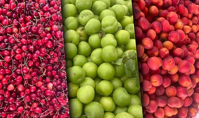 Sert ve yumuşak çekirdekli meyveler zirvede