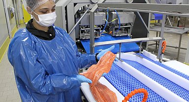 Türk somonu ihracatı rekor kırıyor... 2035 hedefi 1 milyar dolar