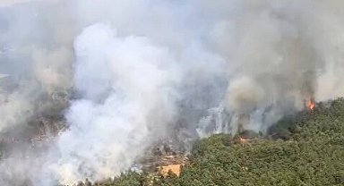Uşak ve İzmir Bergama'da yangınlara müdahale sürüyor