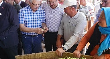 Balıkesir Ayvalık'ta çiftçilere özel destek