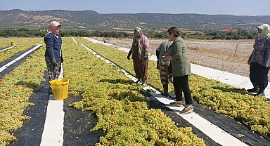 CHP'li Karaca üzüm üreticilerine ses oldu