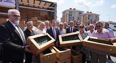 İstanbul'dan çiftçilere 5 yılda 70 milyon fide desteği