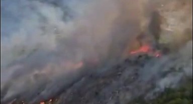 Muğla Seydikemer'de orman yangını