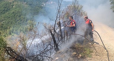 Türkeli’de ormanlık alanda yangın paniği