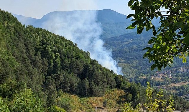 Valilik duyurdu: Türkeli'deki yangın kontrol altına alındı