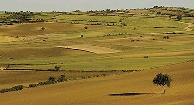 Atıl arazileri bulunan arazi sahipleri dikkat! Son gün 15 Ekim
