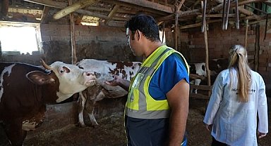 Denizli Büyükşehir'den üreticilere ücretsiz veterinerlik desteği