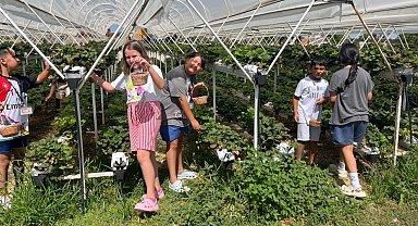 Doğanın kalbinde bir yaz masalı