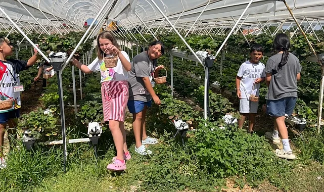 Eskişehir'de Taşlık Doğa Yaz Okulu sona erdi