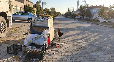 İpsala'da CHP'li Meclis Üyesi'nden Başkan Kerman'a bakımsızlık eleştirisi