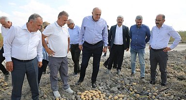 Konya Şeker'den yerli patates tohumu müjdesi... 2027'de dışa bağımlılık bitecek