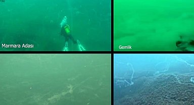 Marmara Denizi'nde müsilaj alarmı! Prof. Dr. Mustafa Sarı'dan acil çağrı