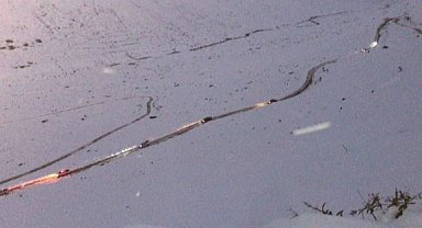 Rize'de Ayder Yaylası ulaşım çalışmaları 'çığ'a takıldı!