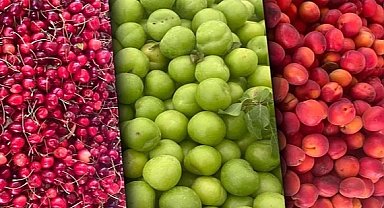 Tarım ÜFE aylık azaldı, yıllık arttı! En yüksek artış yumuşak ve sert çekirdekli meyvelerde