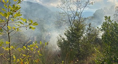 Türkeli'de otluk alanda çıkan yangın söndürüldü