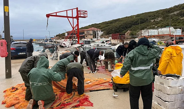 Edirne Mecidiye'de yıllar sonra kara kefal bereketi!