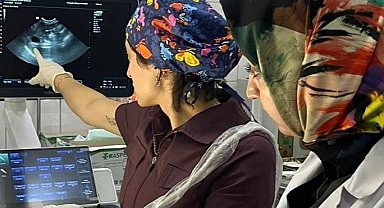 Fatih Belediyesi'nden sokak hayvanlarına modern tanı hizmeti