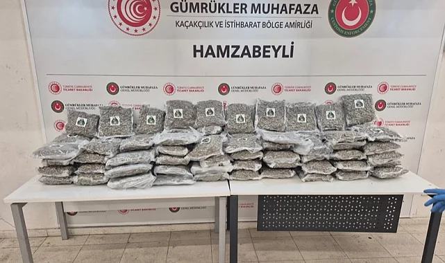 Gümrükler Muhafaza'dan çifte uyuşturucu operasyonu!