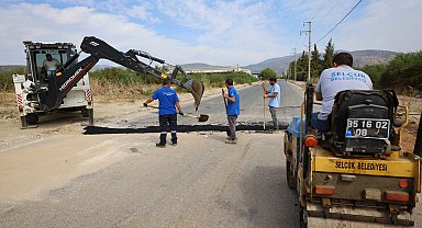  İzmir Büyükşehir ve Efes Selçuk Belediyesi'nden ortak çalışma