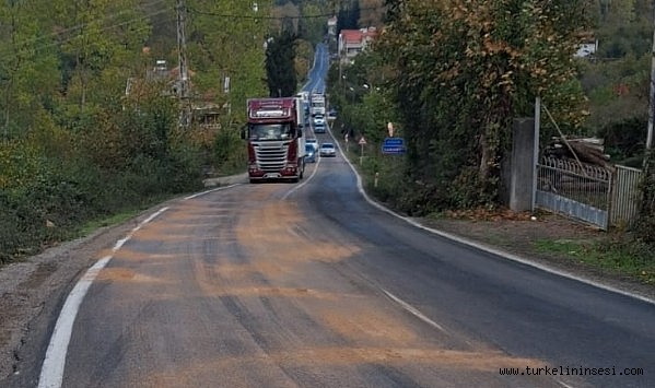 Türkeli-Ayancık-Sinop Yolunda hamsi suyu tehlikesi