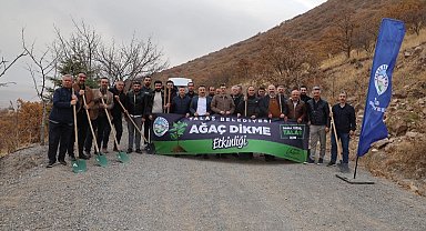 Ali Dağı'nın zirvesine bin 111 fidan