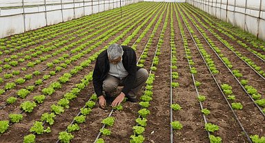 Balıkesir Büyükşehir'den üreticilere tam destek
