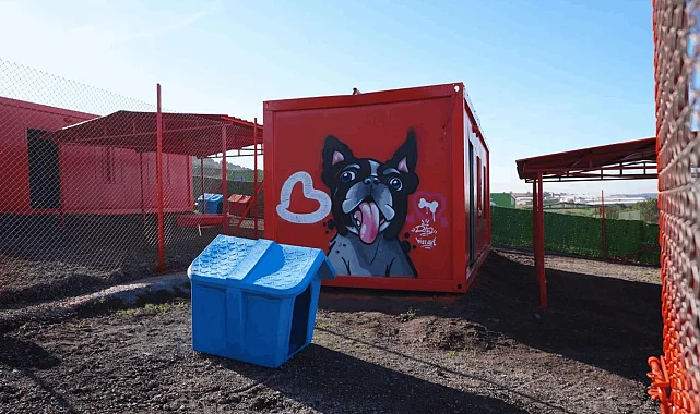 Balıkesir'de can dostlar için doğal yaşam alanı