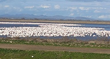 CHP'li Yazgan'dan TBMM'de Gala Gölü çağrısı!