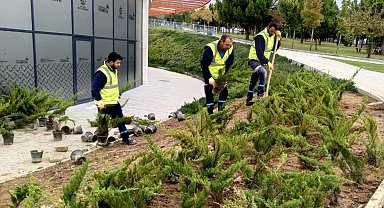 Dilovası Millet Bahçesi'nde dip köşe temizliği