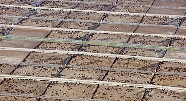 Endüstriyel hayvancılık küresel iklim hedeflerini tehdit ediyor