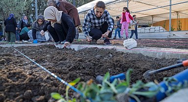 İzmir bostanlarında kış dikimi başladı