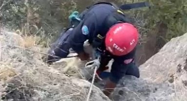 Kayseri Büyükşehir itfaiyesi mahsur kalan keçiyi kurtardı