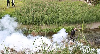 Kocaeli'de sinekle mücadele dört mevsim hız kesmiyor