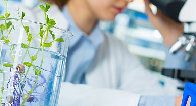 Laboratuvar denetimlerinde yeni kural! Cezalarda tarih hesabı il müdürlerine bağlandı