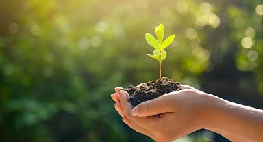 Türkeli’de Milli Ağaçlandırma Günü’nde fidanlar toprakla buluşacak