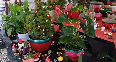 Başkentte bitki evleri görsel şölene dönüştü