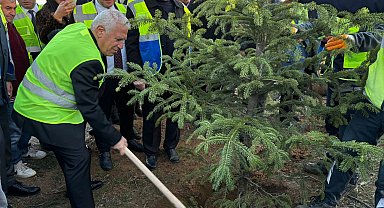 Bursa Büyükşehir'den 15 bin fidanlı 'Hatıra Ormanı'
