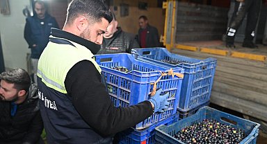 Bursa Gemlik Belediyesi'nden üreticiye destek