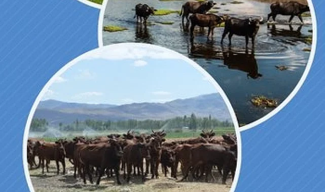 Halk elinde ıslaha 2,7 milyar TL destek