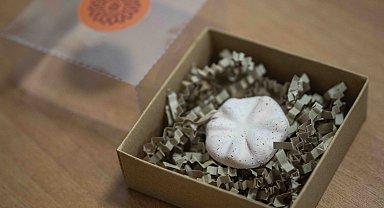 İzmir Bornova'nın 8 bin 500 yıllık hafızası gün yüzünde