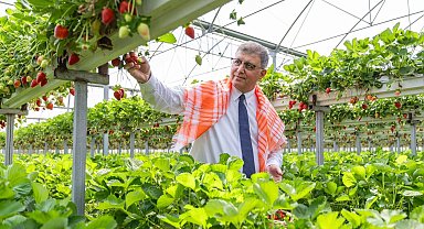 İzmir Büyükşehir'den çiftçiye 550 milyon TL'lik nefes