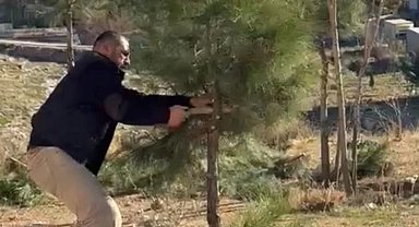 Mardin Artuklu'da muhtar kendi elleriyle ağaçları budadı