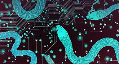 Oyun gibi gözükse de gerçekte siber casusluk!