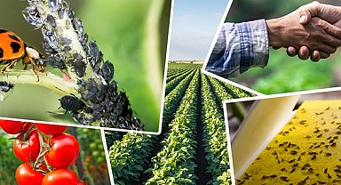 Tarımsal üretimi destekleyecek önemli düzenleme... Tarımsal destek ödemelerine ayar